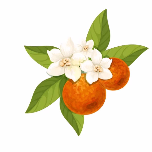 Orange Blossom Carafe